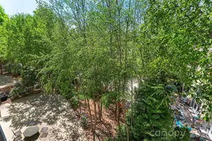 155 S Lexington Ave, Asheville, NC 28801 - Photo 20
