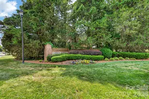 3527 Nestling Ln, Fort Mill, SC 29708 - Photo 48