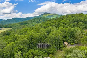 107 Buffalo Trail, Asheville, NC 28805 - Photo 48
