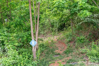 154 Wandering Oaks Way, Asheville, NC 28805 - Photo 44