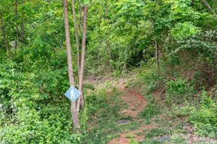 154 Wandering Oaks Way, Asheville, NC 28805 - Photo 44