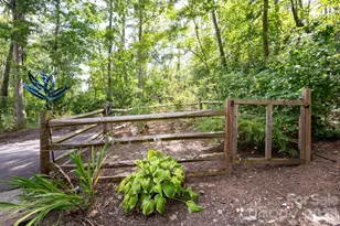 17 Bohemian Ln, Asheville, NC 28805 - Photo 42