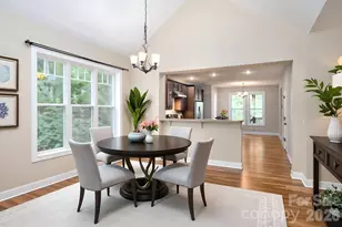 17 Bohemian Ln, Asheville, NC 28805 - Photo 10