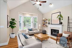 17 Bohemian Ln, Asheville, NC 28805 - Photo 8
