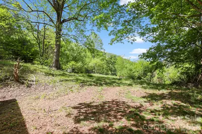 1007 N Fork Road, Barnardsville, NC 28709 - Photo 4