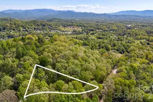 155 Spivey Mountain Rd, Asheville, NC 28806 - Photo 44