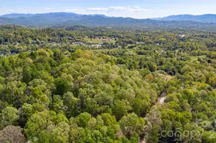 155 Spivey Mountain Rd, Asheville, NC 28806 - Photo 46