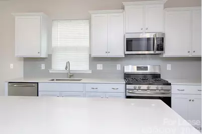 161 White Apple Way, Statesville, NC 28625 - Photo 14