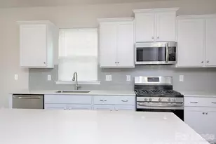 161 White Apple Wy, Statesville, NC 28625 - Photo 14