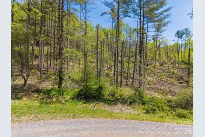 00000 White Pine Lane #19, Bakersville, NC 28705 - Photo 4