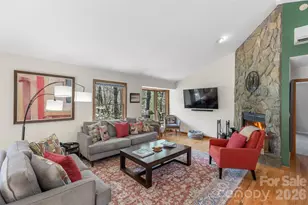 46 Poplar Ct, Sapphire, NC 28774 - Photo 8