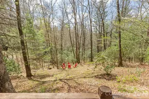 46 Poplar Ct, Sapphire, NC 28774 - Photo 46