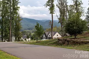 25 Ted Linn Dr, Fairview, NC 28730 - Photo 40