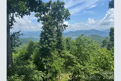 337 Rhododendron Lane, Burnsville, NC 28714 - Photo 42