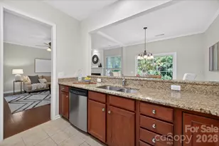 15551 Canmore Street, Charlotte, NC 28277 - Photo 20
