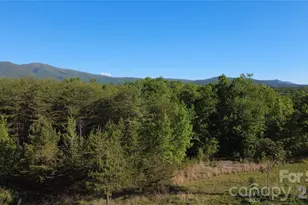 431 Ridge Point Rd, Nebo, NC 28761 - Photo 1