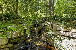 109 Stuyvesant Rd, Asheville, NC 28803 - Photo 34