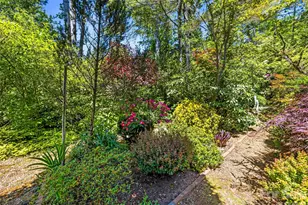 109 Stuyvesant Rd, Asheville, NC 28803 - Photo 28