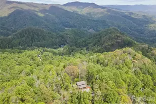2863 Heath Peak Rd, Waynesville, NC 28785 - Photo 14