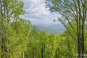 2863 Heath Peak Rd, Waynesville, NC 28785 - Photo 10
