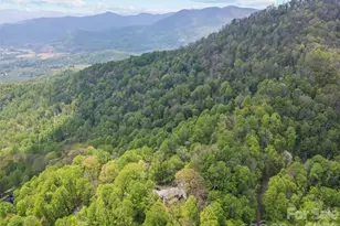 2863 Heath Peak Rd, Waynesville, NC 28785 - Photo 16