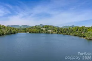 7 Magic Sam Ct, Biltmore Lake, NC 28715 - Photo 42