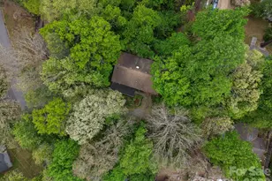 257 Pine St, Black Mountain, NC 28711 - Photo 26