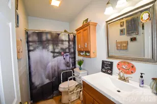 945 N Country Club Rd, Brevard, NC 28712 - Photo 20