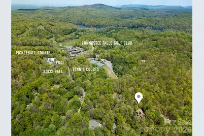 71 Elseetos Drive, Brevard, NC 28712 - Photo 2