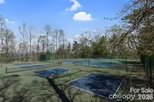 115 Chestnut Ridge Rd, Mills River, NC 28759 - Photo 46