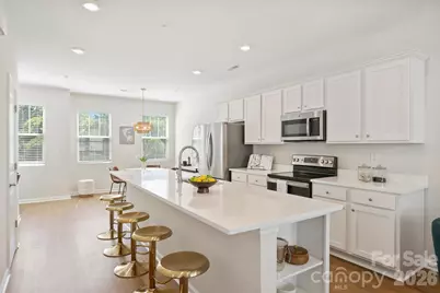 2405 Via Del Conte Alley, Charlotte, NC 28205 - Photo 8