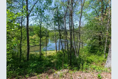 28 Falling Star Court, Fletcher, NC 28732 - Photo 30