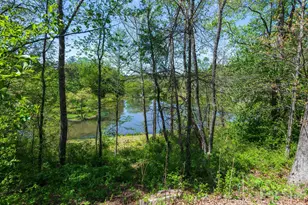 28 Falling Star Ct, Fletcher, NC 28732 - Photo 30