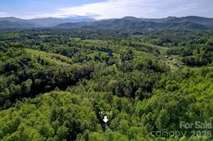 169 Pickens Rd, Weaverville, NC 28787 - Photo 48