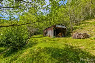 314 Byrd Creek Rd, Green Mountain, NC 28740 - Photo 32