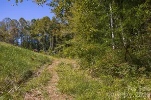 63 Orrinel Wy, Asheville, NC 28806 - Photo 44