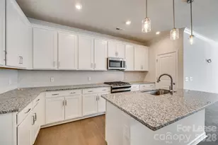 229 Brks Spgs Dr, Fort Mill, SC 29708 - Photo 8