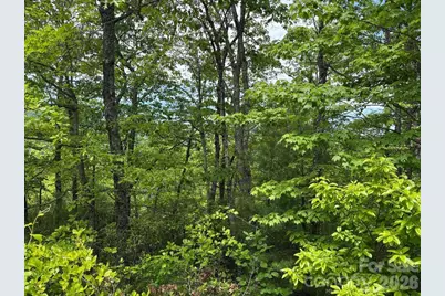 Lot 51A Wilderness Drive, Marion, NC 28752 - Photo 10