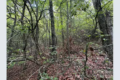 Lot 51A Wilderness Drive, Marion, NC 28752 - Photo 8