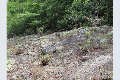 Lot 51A Wilderness Drive, Marion, NC 28752 - Photo 6