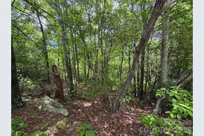 Lot 51B Wilderness Drive, Marion, NC 28752 - Photo 12