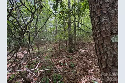 Lot 51B Wilderness Drive, Marion, NC 28752 - Photo 10