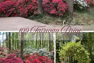 109 Fairway Dr, Fort Mill, SC 29715 - Photo 44