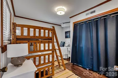462 Charlotte Drive, Lake Lure, NC 28746 - Photo 20