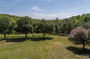 184 Clelo Dr, Casar, NC 28020 - Photo 38