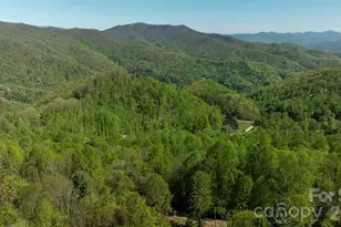 95 Lasso Ln, Waynesville, NC 28785 - Photo 36