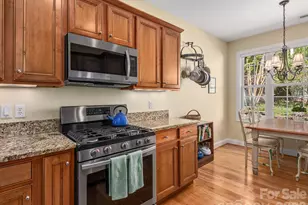 30 Banks Town Rd, Weaverville, NC 28787 - Photo 10