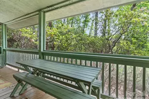 548 Bear Cub Dr, Spruce Pine, NC 28777 - Photo 28
