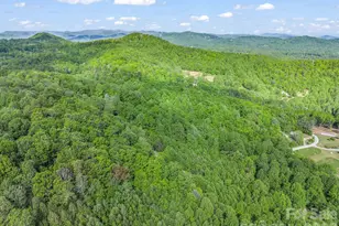 603 Pace Mountain Rd, Saluda, NC 28773 - Photo 44
