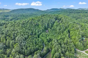 603 Pace Mountain Rd, Saluda, NC 28773 - Photo 40